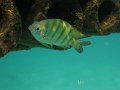 IMG_9578 (2)
